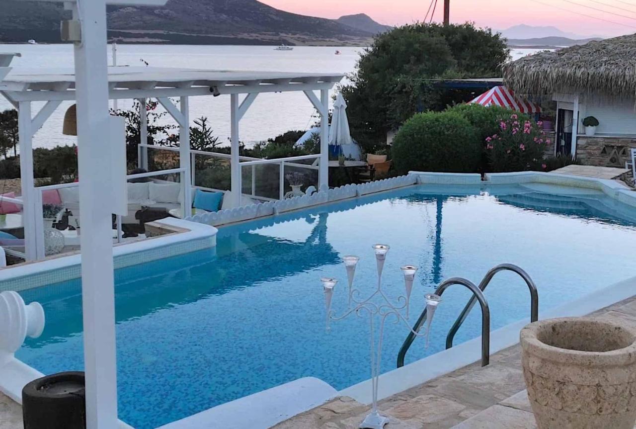 Blue Dolphin Antiparos Villas And Suites Agios Georgios  Bagian luar foto